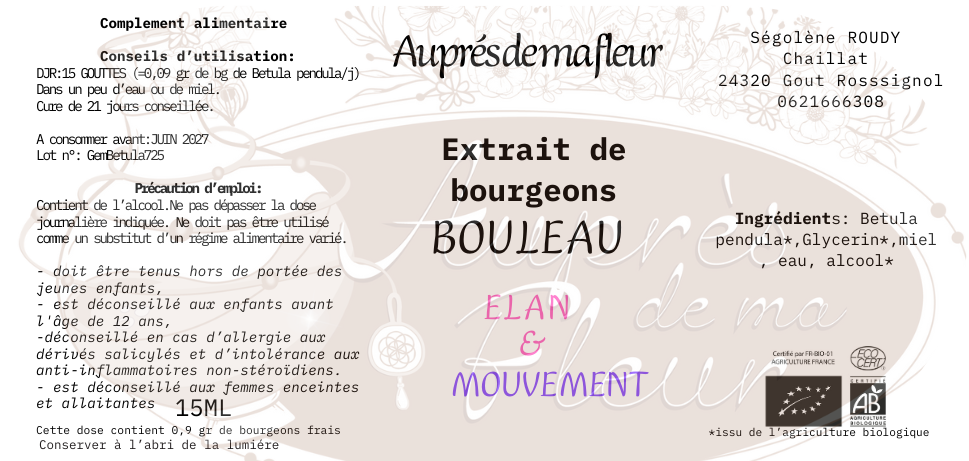 Gemmothérapie Bouleau (Betula pendula) - 15ml