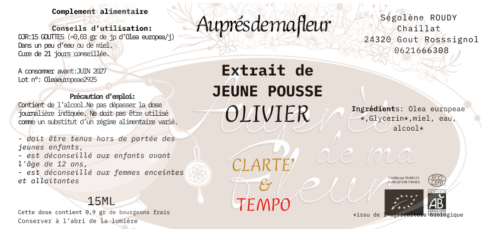 Gemmothérapie Olivier (Olea europaea) - 15ml