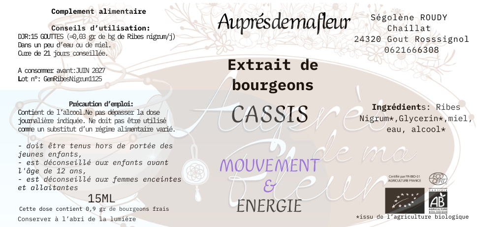 Gemmothérapie Cassis (Ribes nigrum) - 15ml