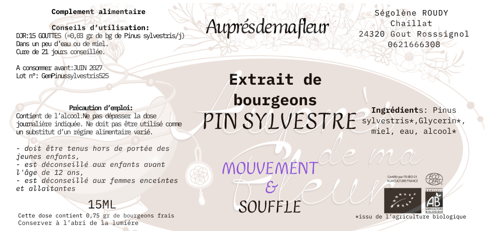 Gemmothérapie Pin sylvestre (Pinus sylvestris) - 15ml